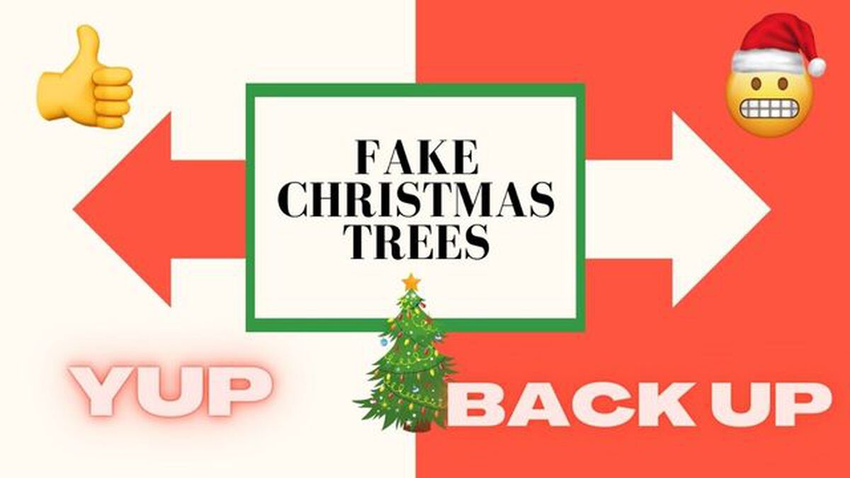 Yup Backup: Christmas Edition image number null